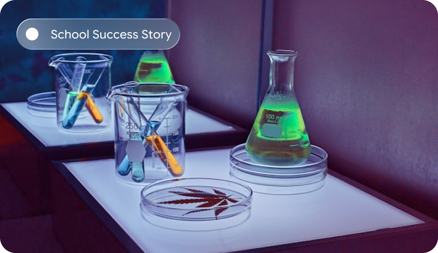 Arabic Language Learning in UAE Classrooms